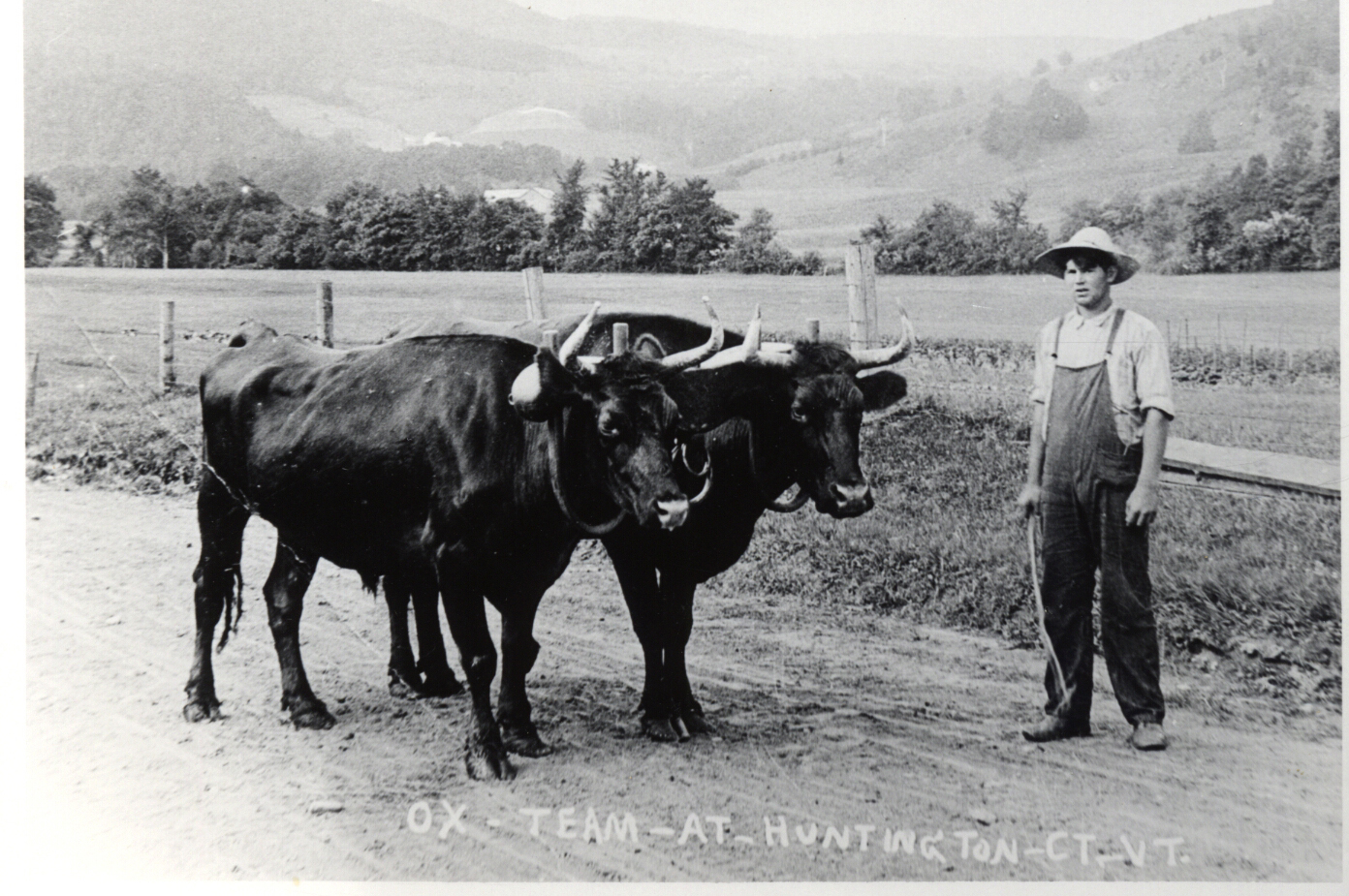 Boy with Oxen